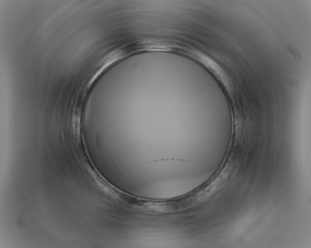 X0000113251194200910011340