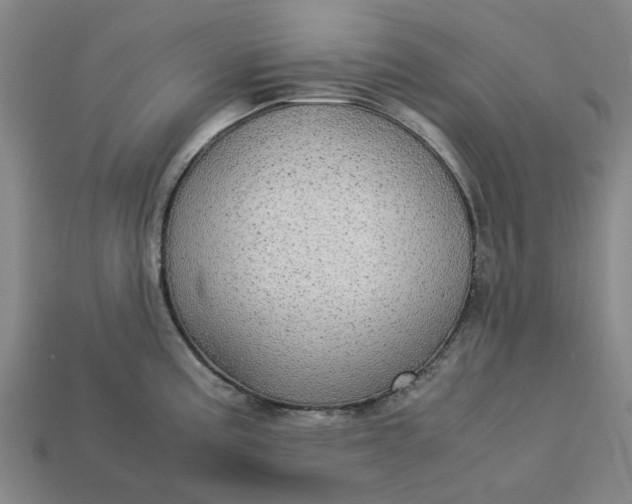 X0000113251195200910011340