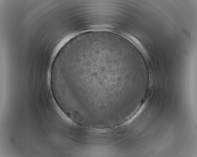 X0000113251196200910011340