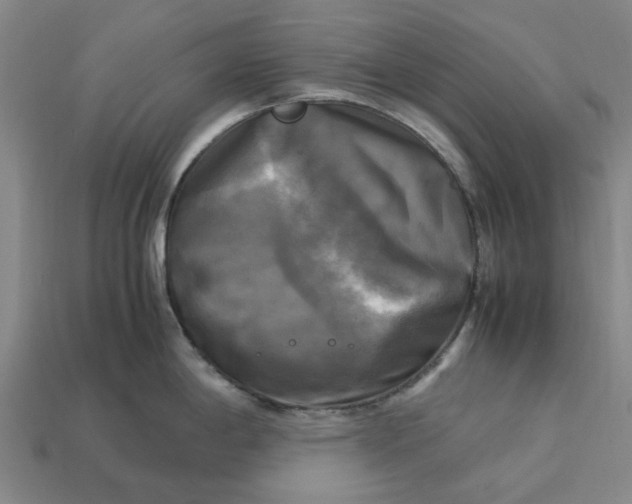 X0000113251198200910011340