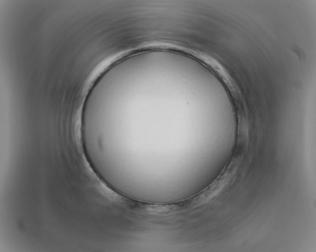 X0000113251199200910011340