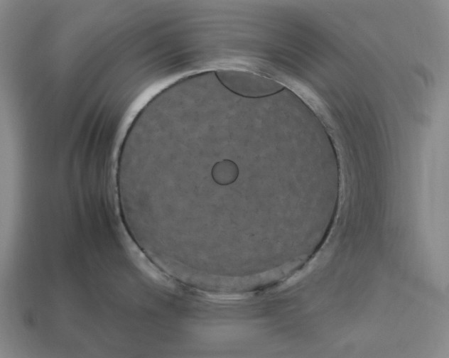 X0000113251200200910011339