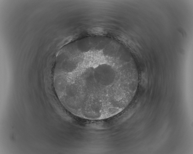 X0000113251201200910011339