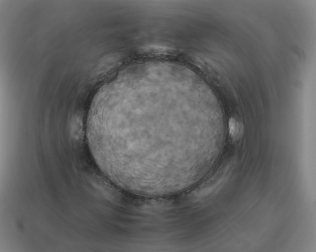 X0000113251203200910011339