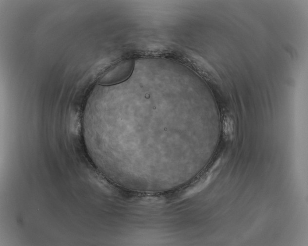 X0000113251204200910011339