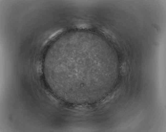 X0000113251205200910011339