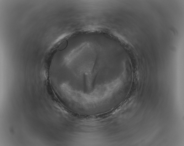 X0000113251206200910011339