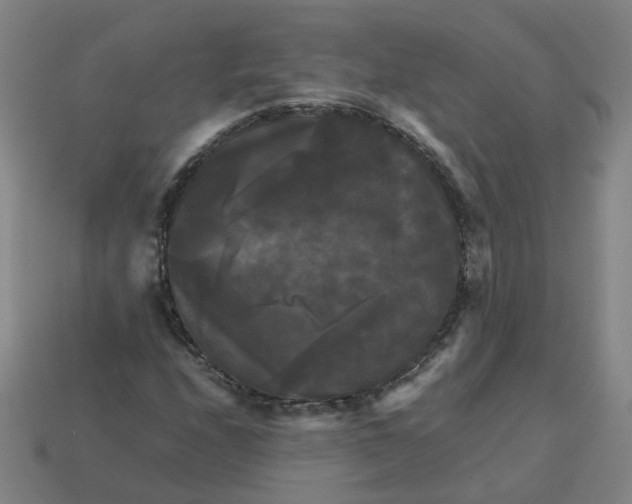 X0000113251208200910011339