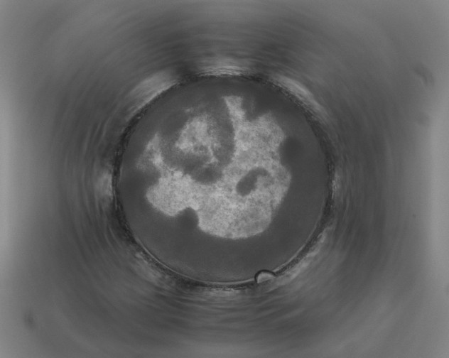 X0000113251209200910011339