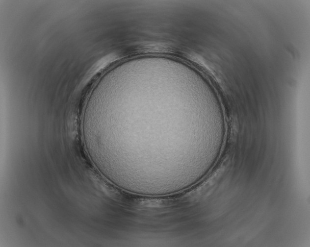 X0000113251211200910011339