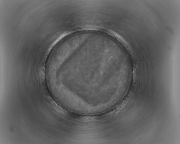 X0000113251212200910011339