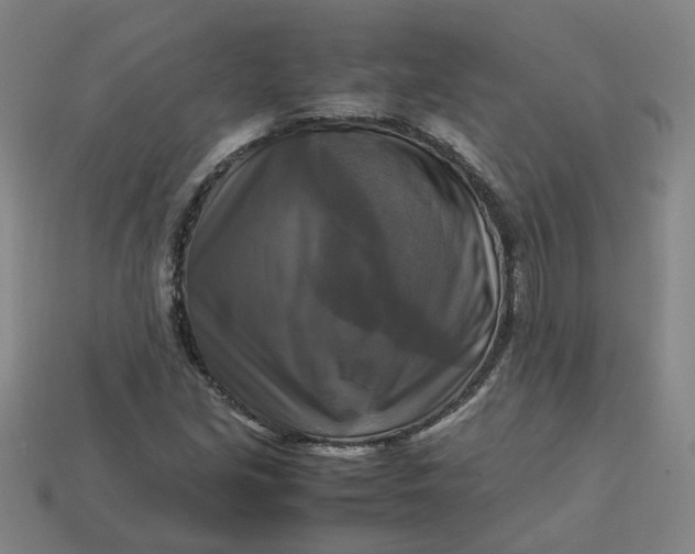 X0000113251213200910011339