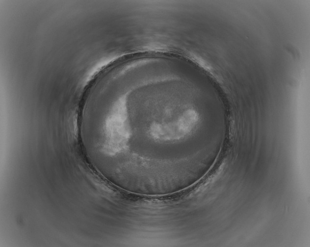 X0000113251214200910011339