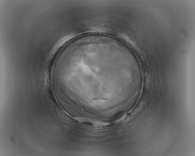 X0000113251215200910011339