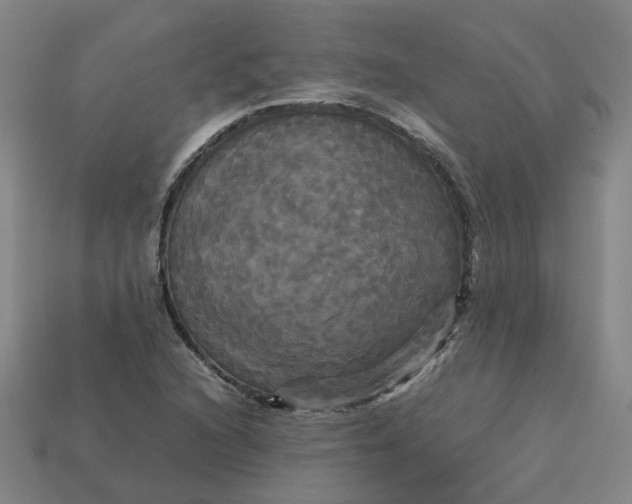 X0000113251216200910011339