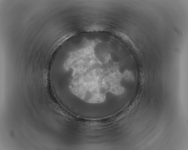 X0000113251217200910011339