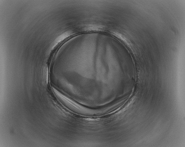 X0000113251219200910011339