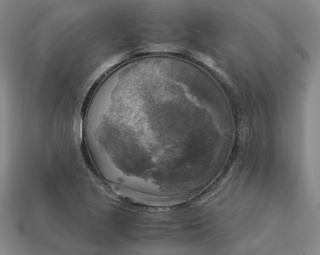 X0000113251221200910011339