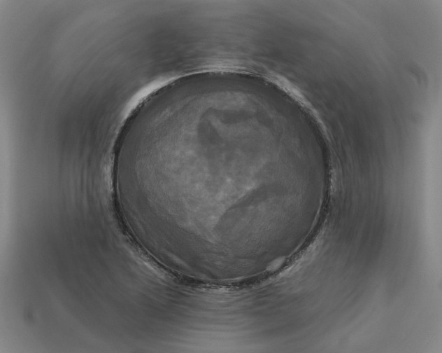 X0000113251222200910011339