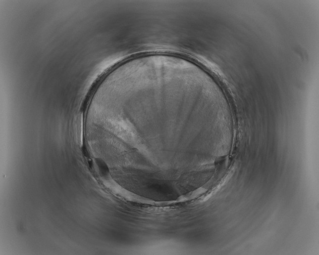 X0000113251223200910011339