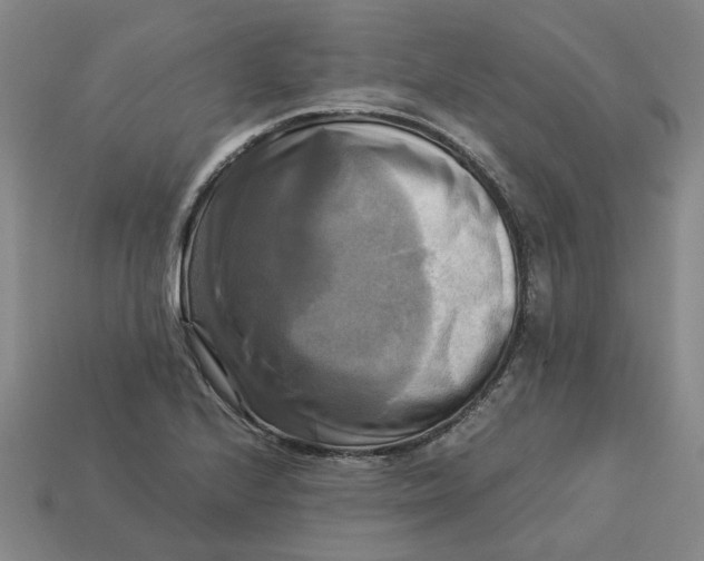 X0000113251224200910011339