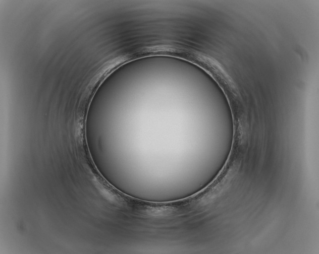 X0000113251225200910011339