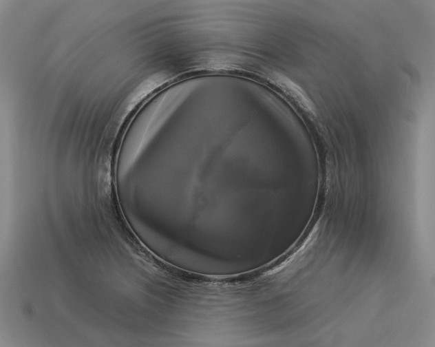 X0000113251226200910011339