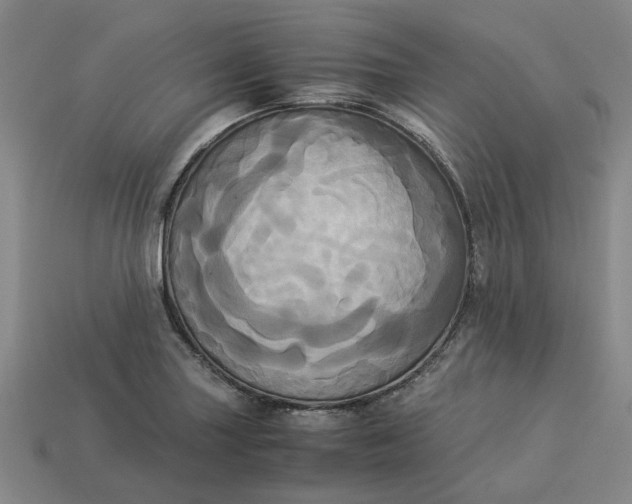 X0000113251227200910011339