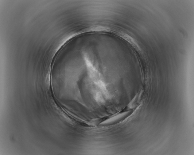 X0000113251228200910011339