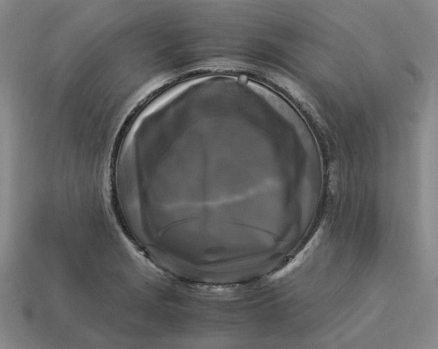 X0000113251229200910011339