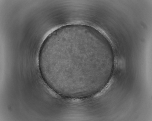 X0000113251230200910011339