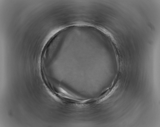 X0000113251231200910011339