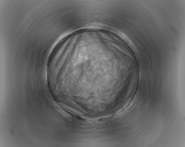 X0000113251232200910011339