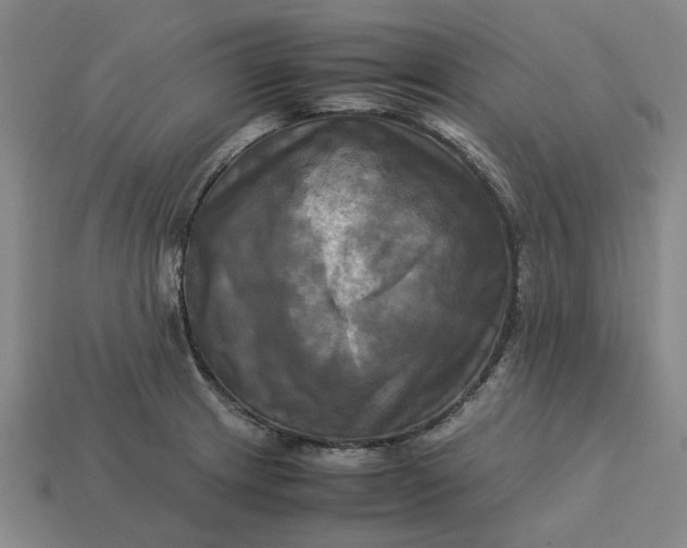 X0000113251233200910011339