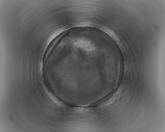 X0000113251234200910011339