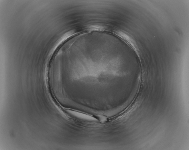 X0000113251235200910011339