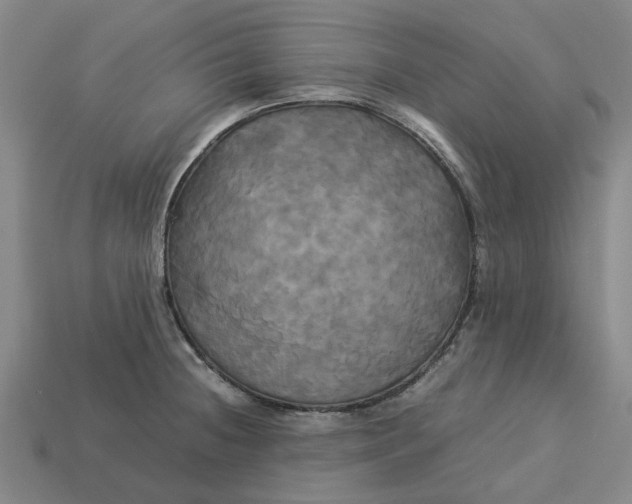 X0000113251236200910011339