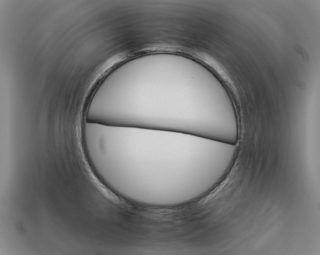 X0000113251237200910011339