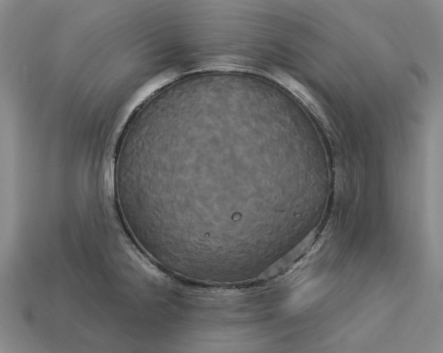 X0000113251238200910011339