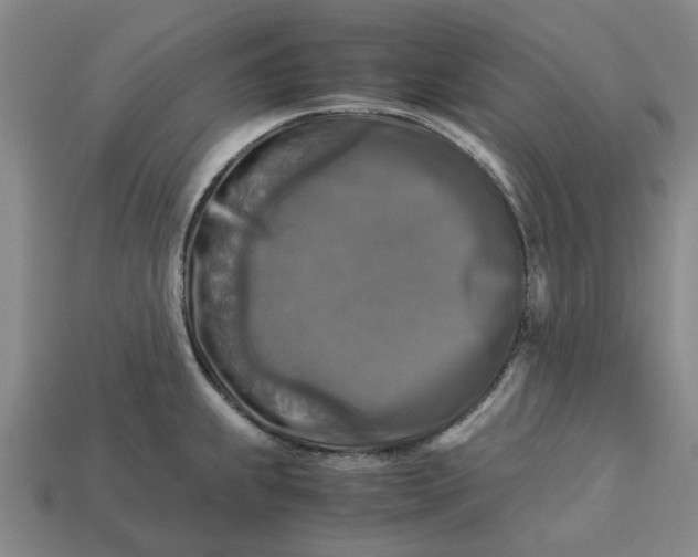 X0000113251239200910011339