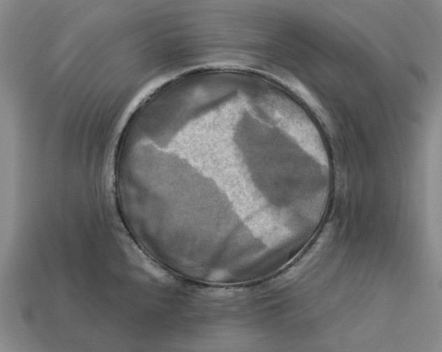 X0000113251240200910011339