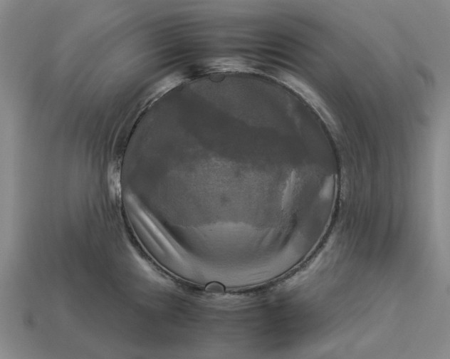 X0000113251241200910011339