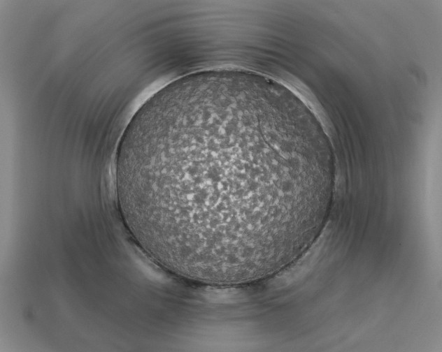 X0000113251242200910011339