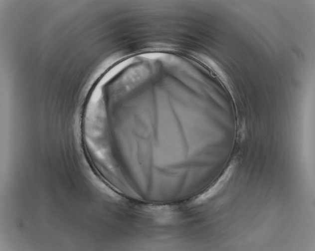 X0000113251243200910011339