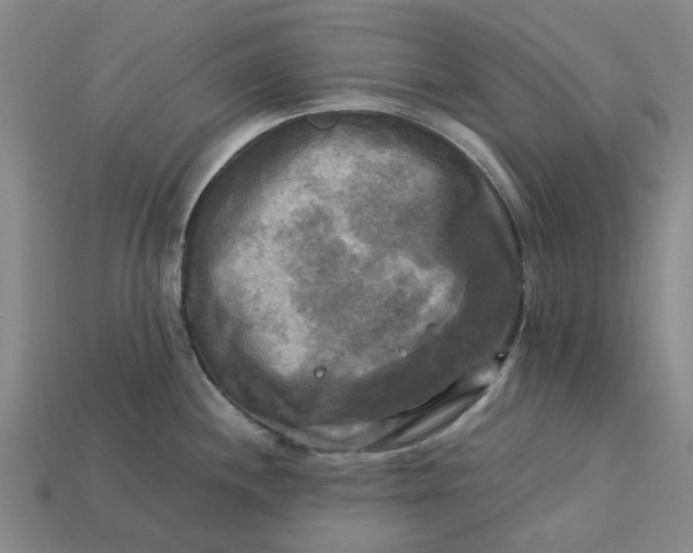 X0000113251244200910011339