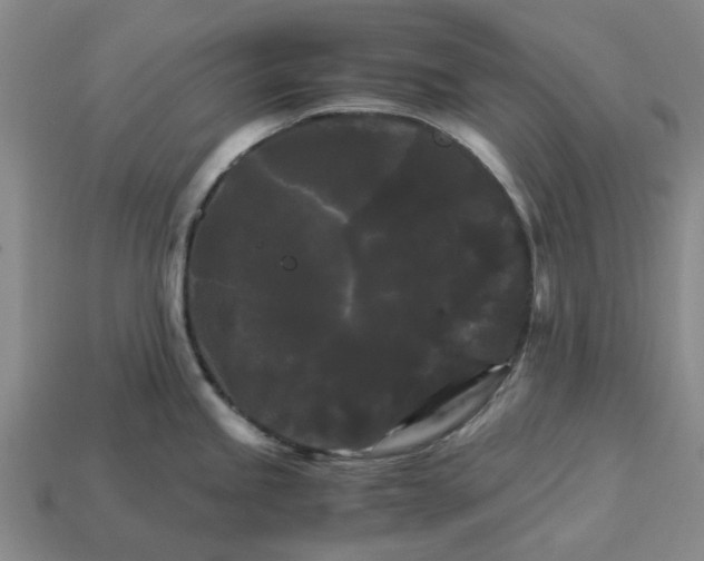 X0000113251245200910011339