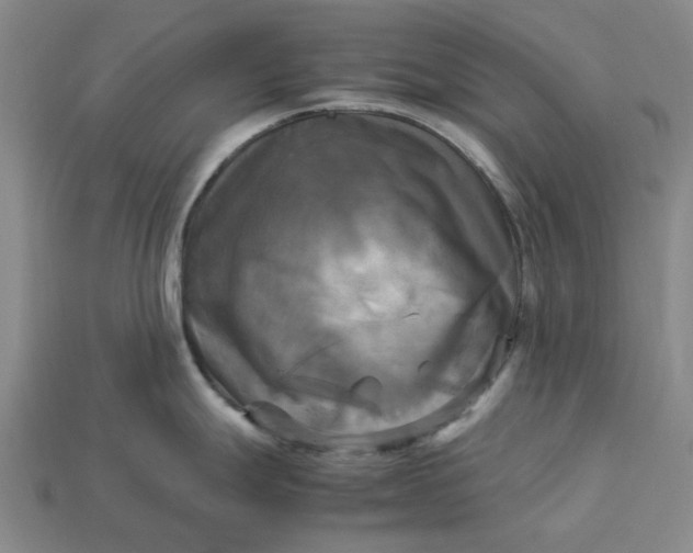 X0000113251247200910011339