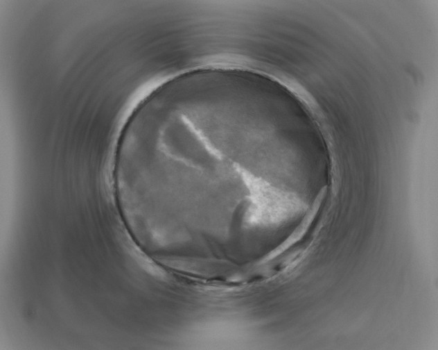 X0000113251248200910011339