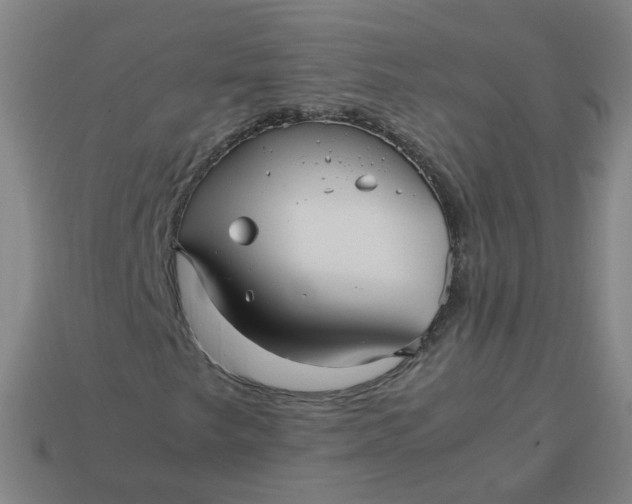 X0000113251249200910011339