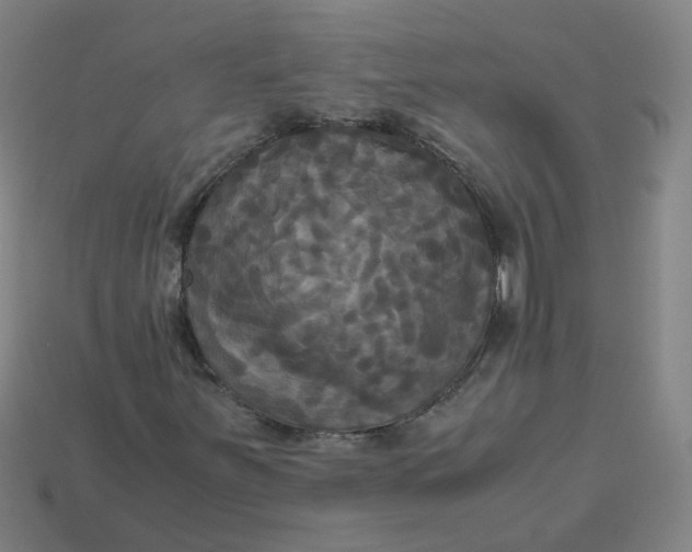 X0000113251251200910011339